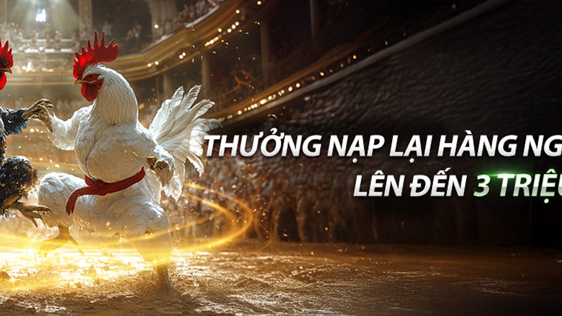 Hình ảnh tiền hoàn trả hàng ngày TK88