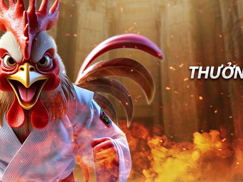 Sân tennis với vợt và bóng