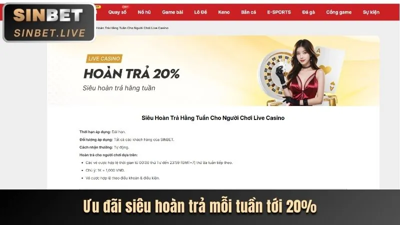 Biểu đồ tổng hợp đánh giá người dùng TK88